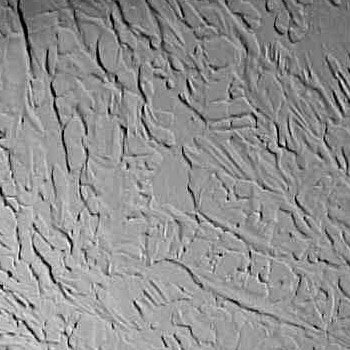 Texture Ceiling And Wall Samples